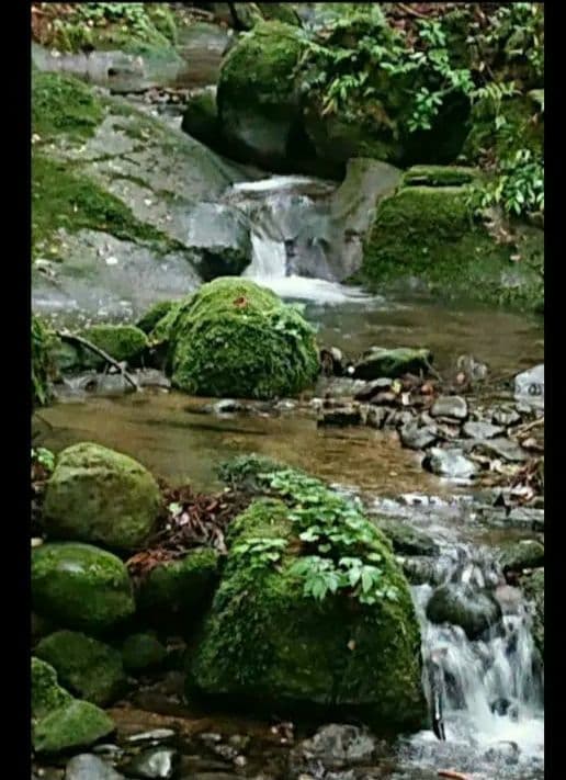 No3 専用です。ご確認中☆