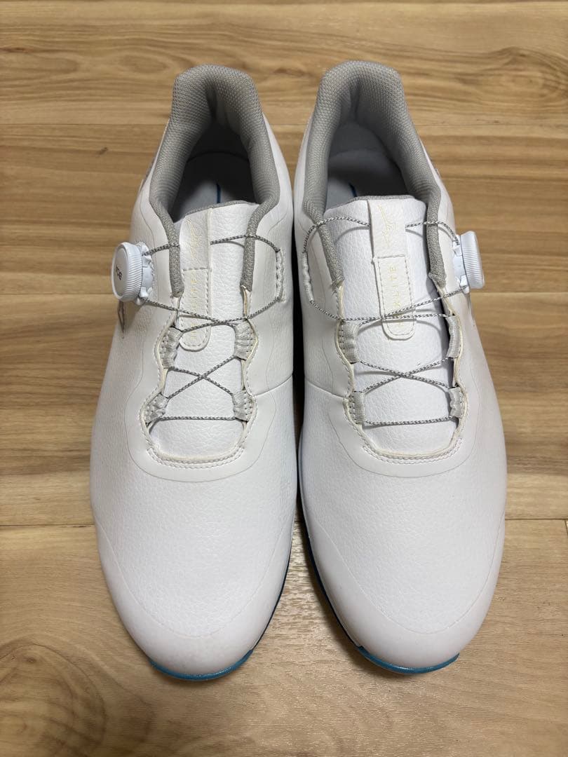 ミズノ　ゴルフシューズ　ネクスライトUW BOA 29.0 新品未使用品