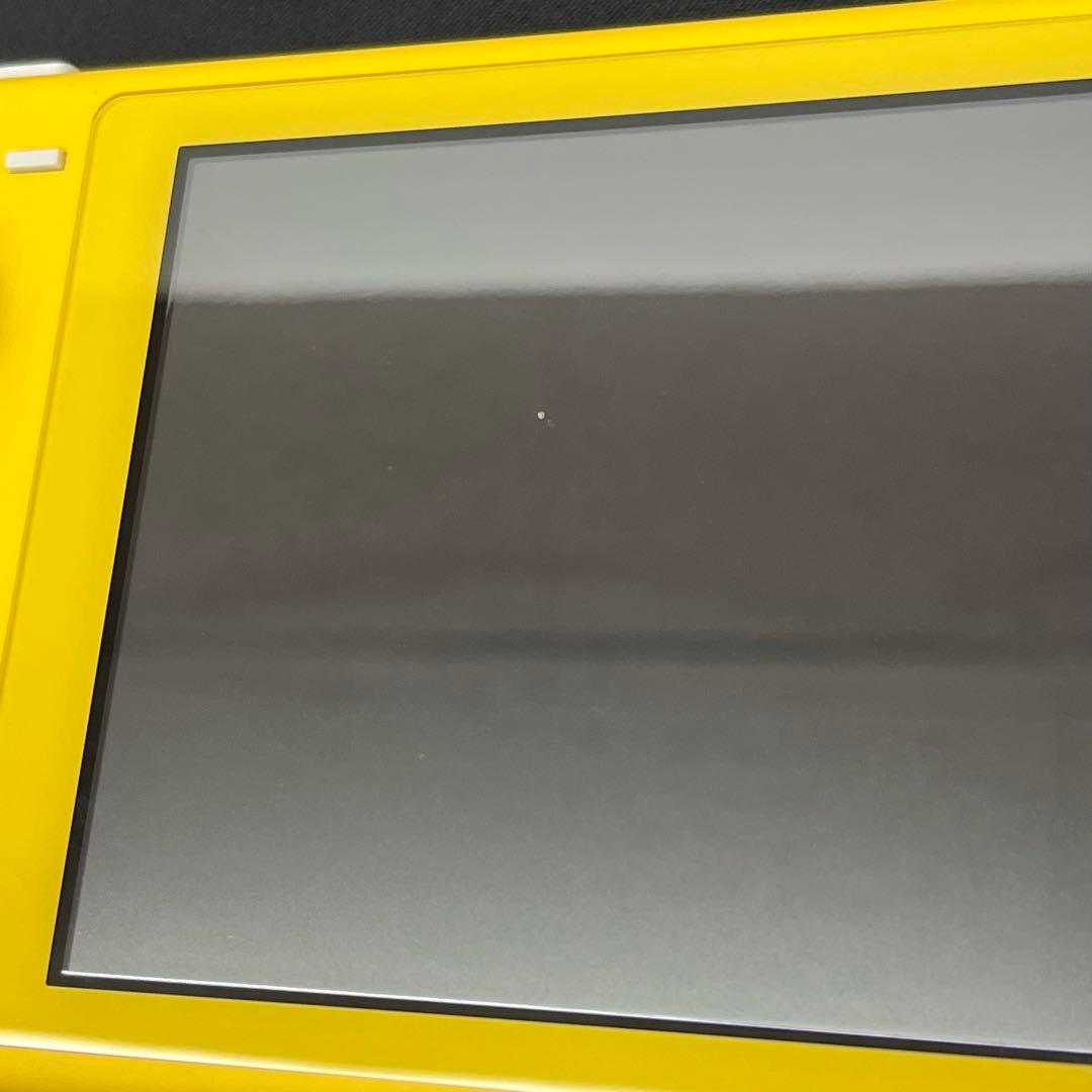 【基本動作確認済み】Nintendo Switch Lite　充電アダプタ付き