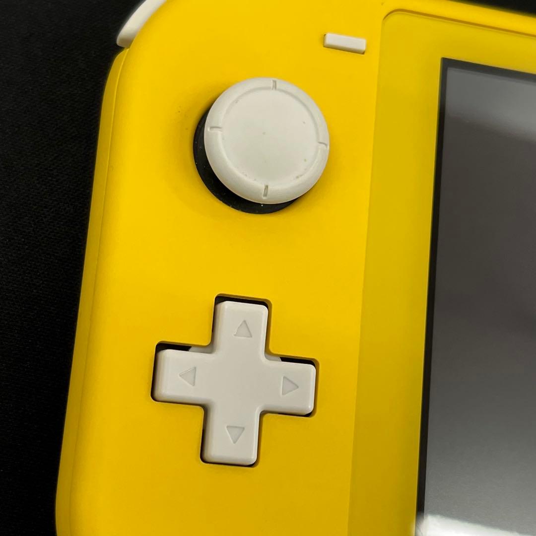 【基本動作確認済み】Nintendo Switch Lite　充電アダプタ付き