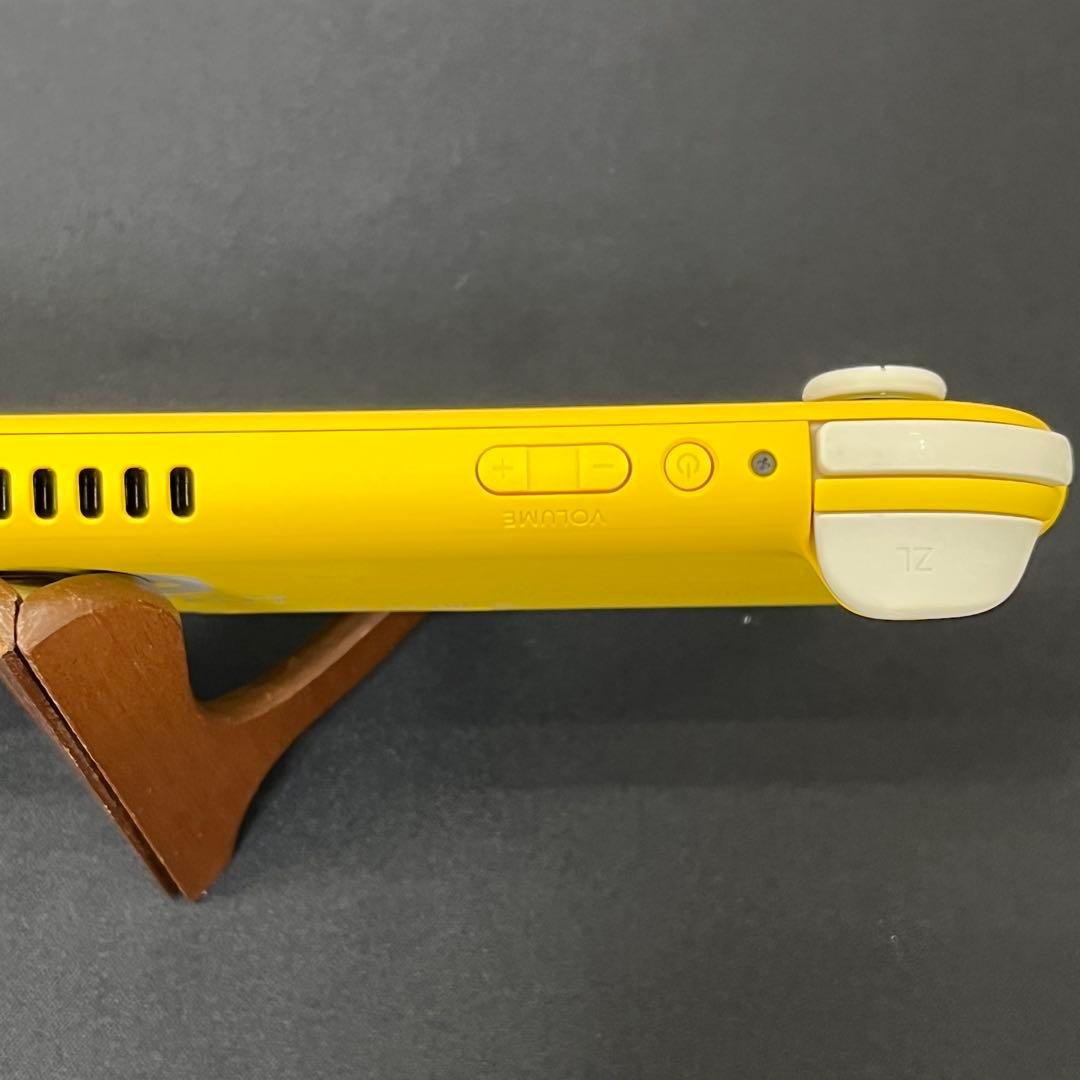 【基本動作確認済み】Nintendo Switch Lite　充電アダプタ付き