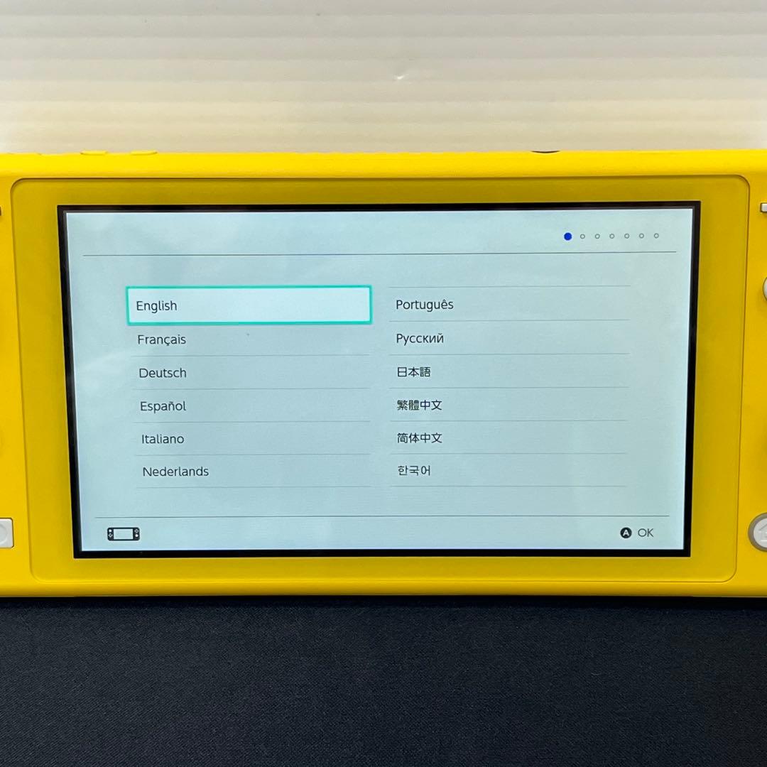 【基本動作確認済み】Nintendo Switch Lite　充電アダプタ付き