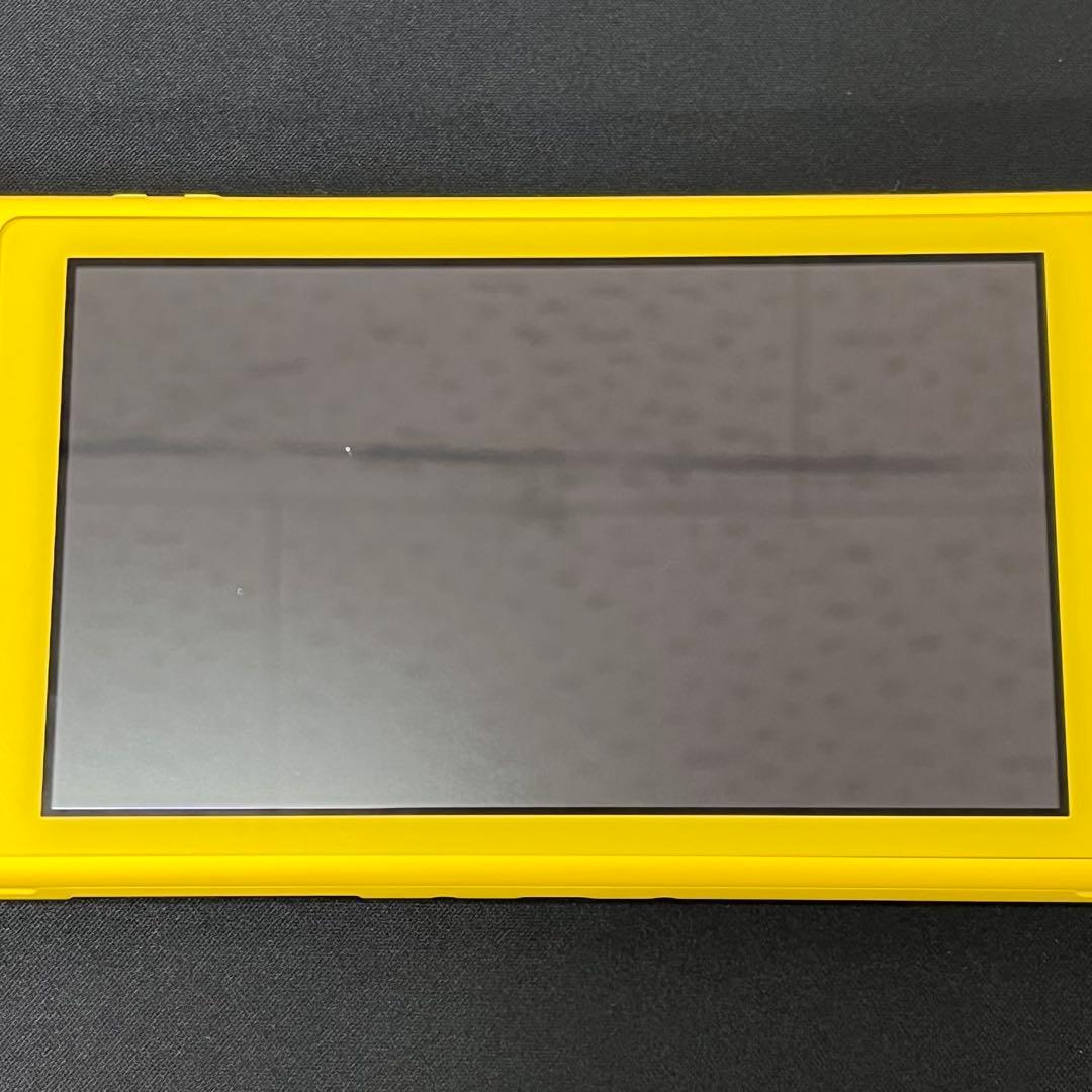 【基本動作確認済み】Nintendo Switch Lite　充電アダプタ付き