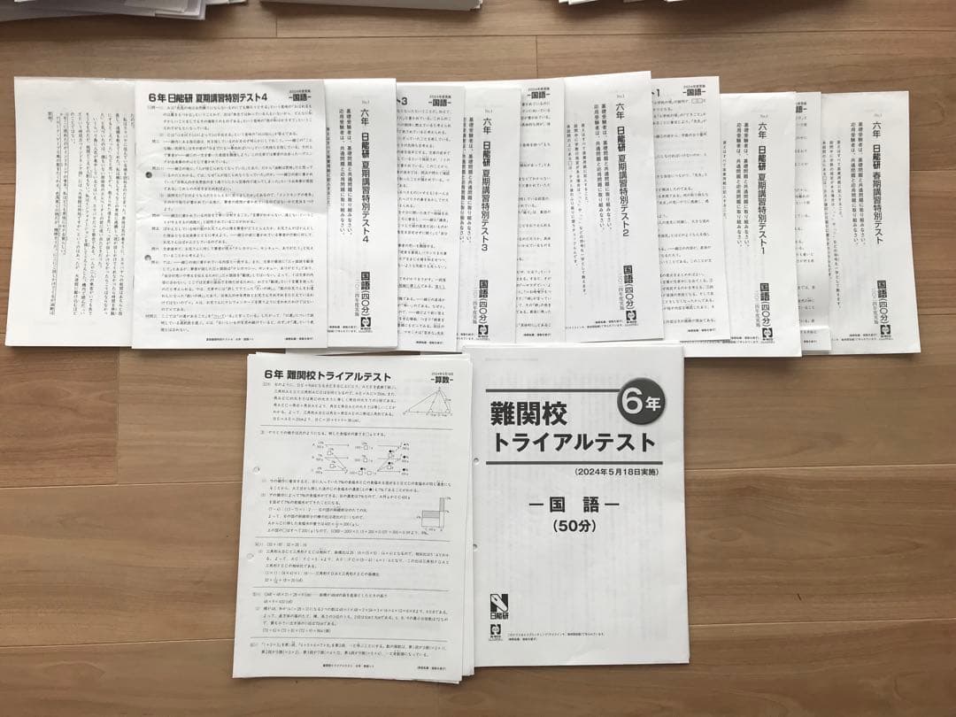 日能研学習力育成テスト、合格力実践テスト、難関校トライアル他6年2024