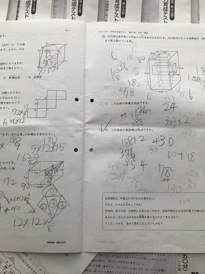 日能研学習力育成テスト、合格力実践テスト、難関校トライアル他6年2024