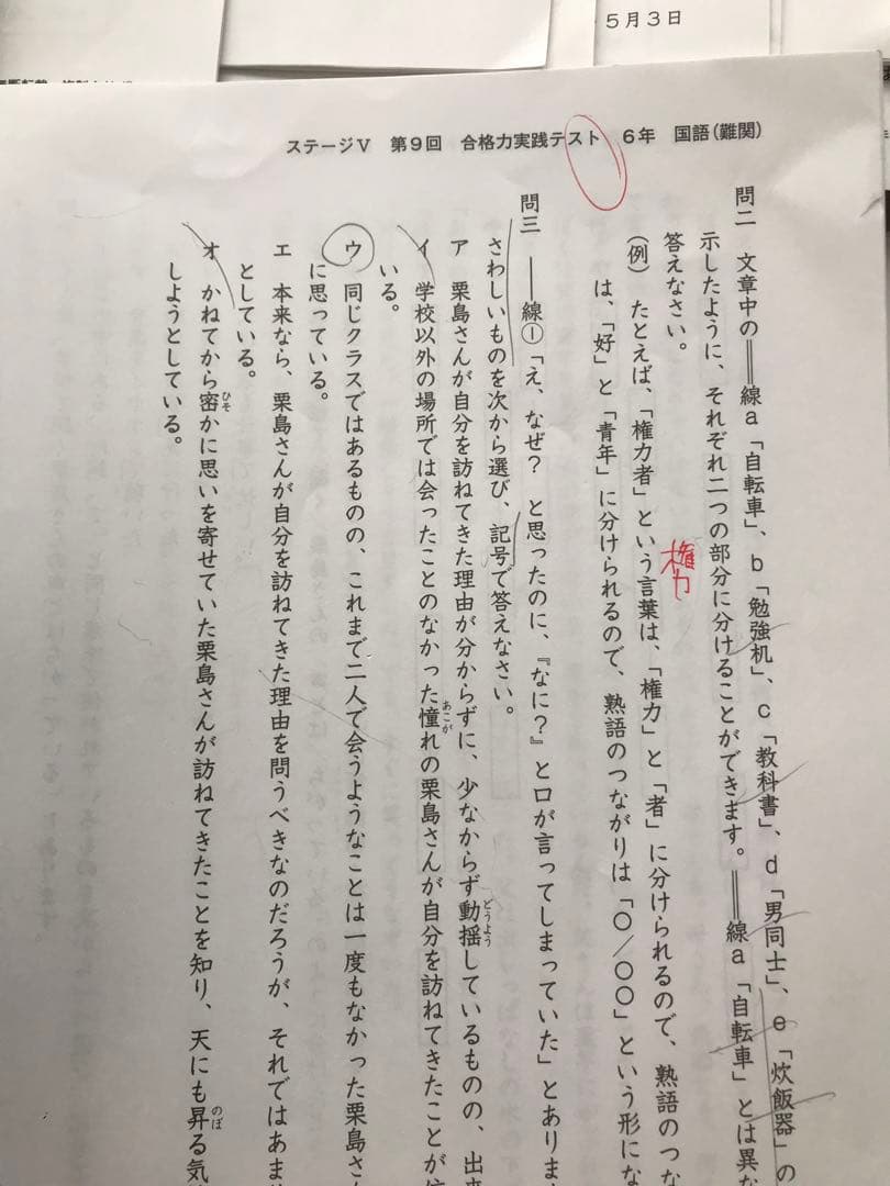 日能研学習力育成テスト、合格力実践テスト、難関校トライアル他6年2024