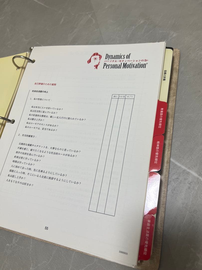 【美品】SMI★Dynamics of Personal Motivation