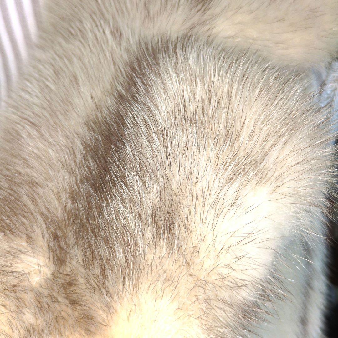 ⭕️ホワイトフロストミンクロングジレ