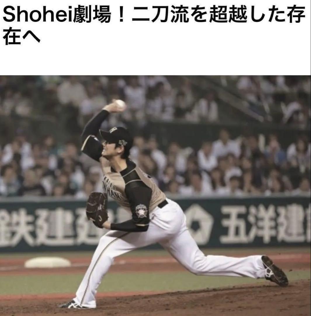 北海道日本ハムファイターズ　大谷翔平選手ユニフォーム　ビジターモデル　Mサイズ