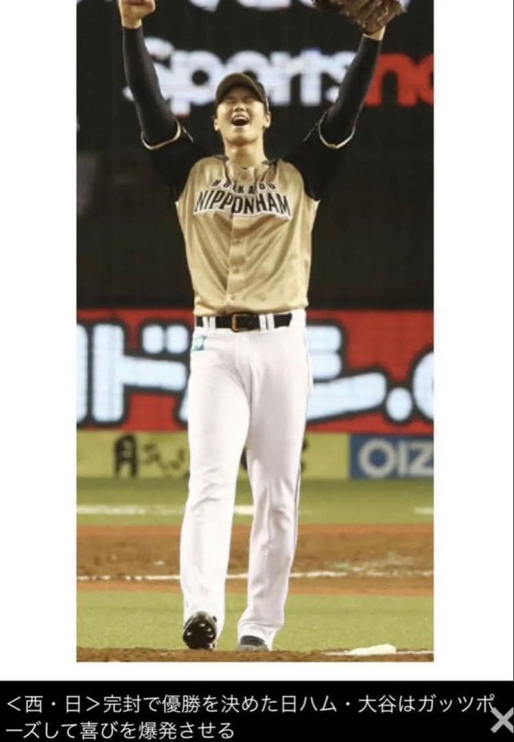 北海道日本ハムファイターズ　大谷翔平選手ユニフォーム　ビジターモデル　Mサイズ