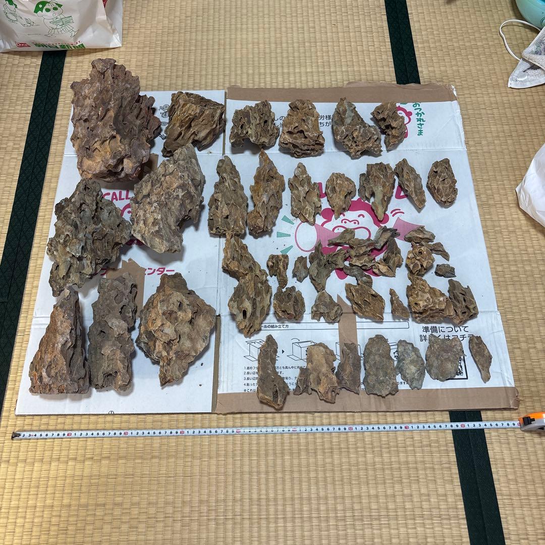 黄虎石　まとめ売り