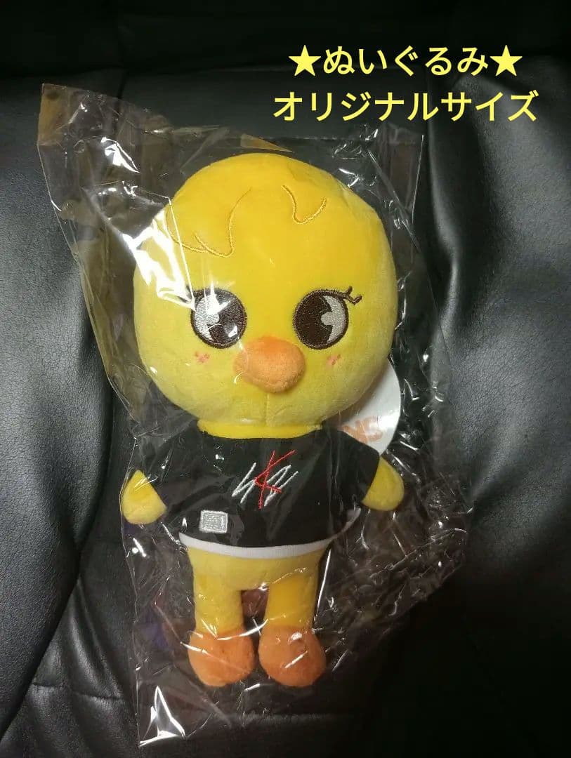 ★ペンミセット★♡フィリックス♡ポガリ♡ライブ参戦完璧セット♡【公式】