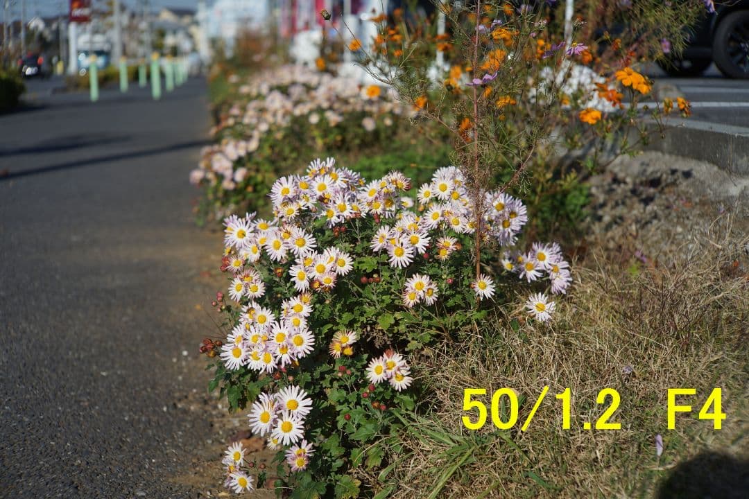 Canon 50mm F1.2 (Lマウント)