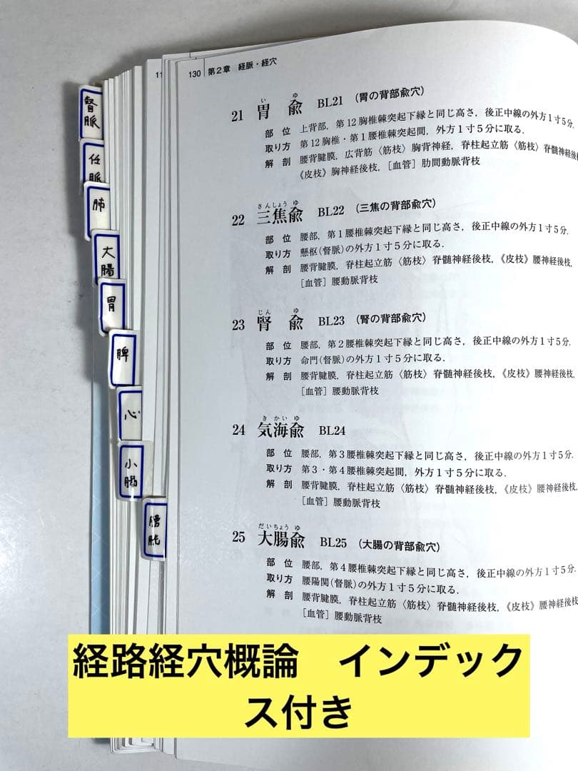 鍼灸　専門学校教科書　15冊セット他　全16￼冊￼￼ まとめ売り　お買い得品！￼
