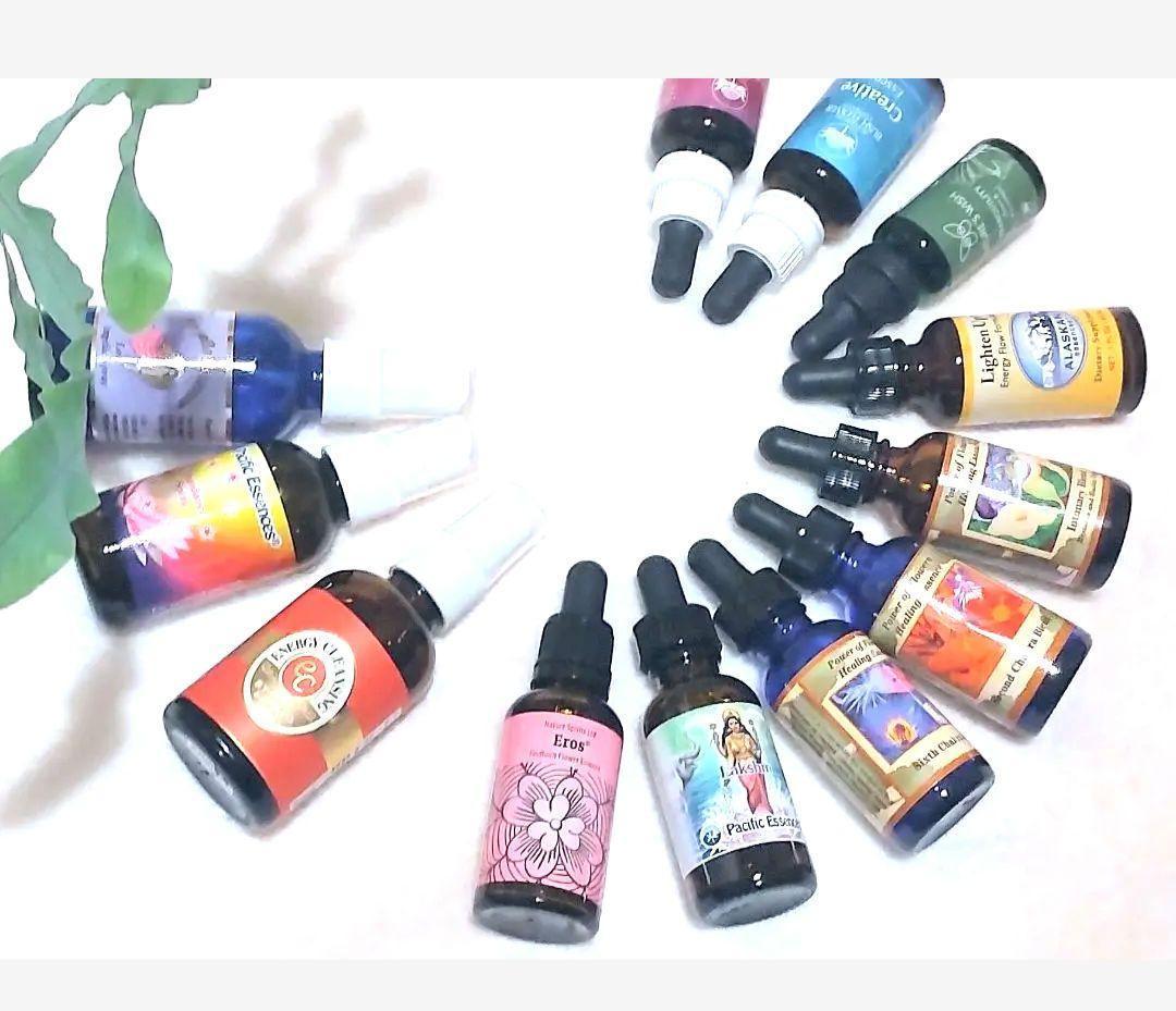 【3本】クロップ#144、238、スタートデザートローズ