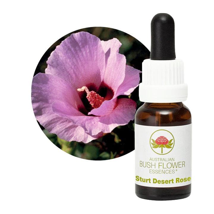 【3本】クロップ#144、238、スタートデザートローズ