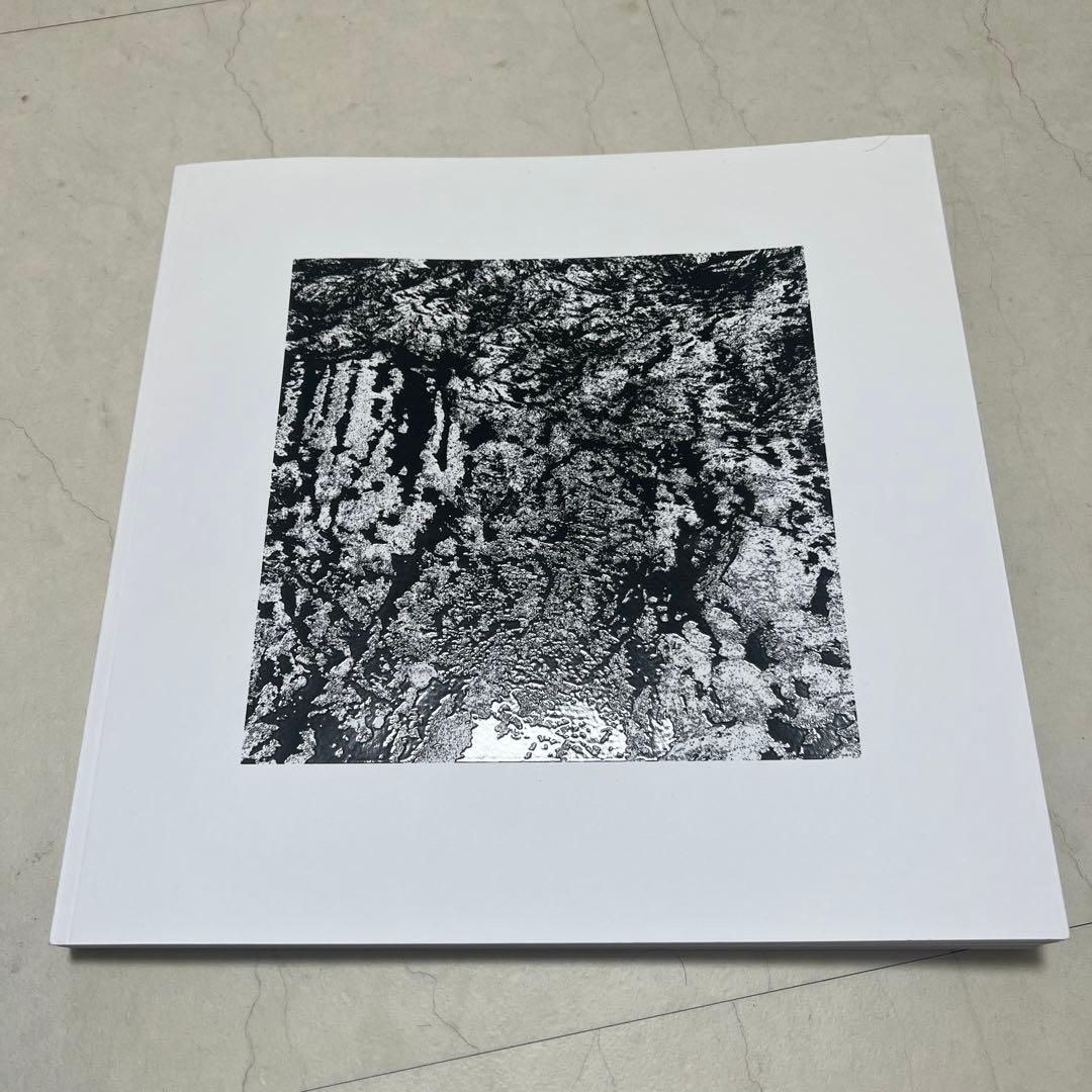 洋書 Michel Comte / Light Special Edition