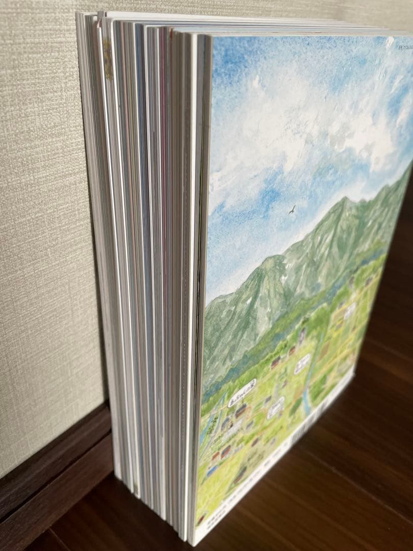 29日限定特価　未使用品　新品同様　福音館　たくさんのふしぎ2025年 12冊