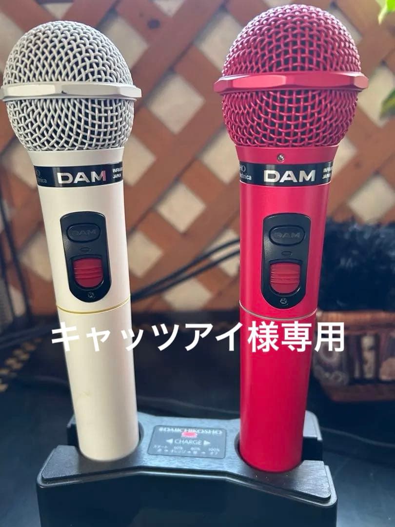 DAM ダイナミックマイク 2本セット