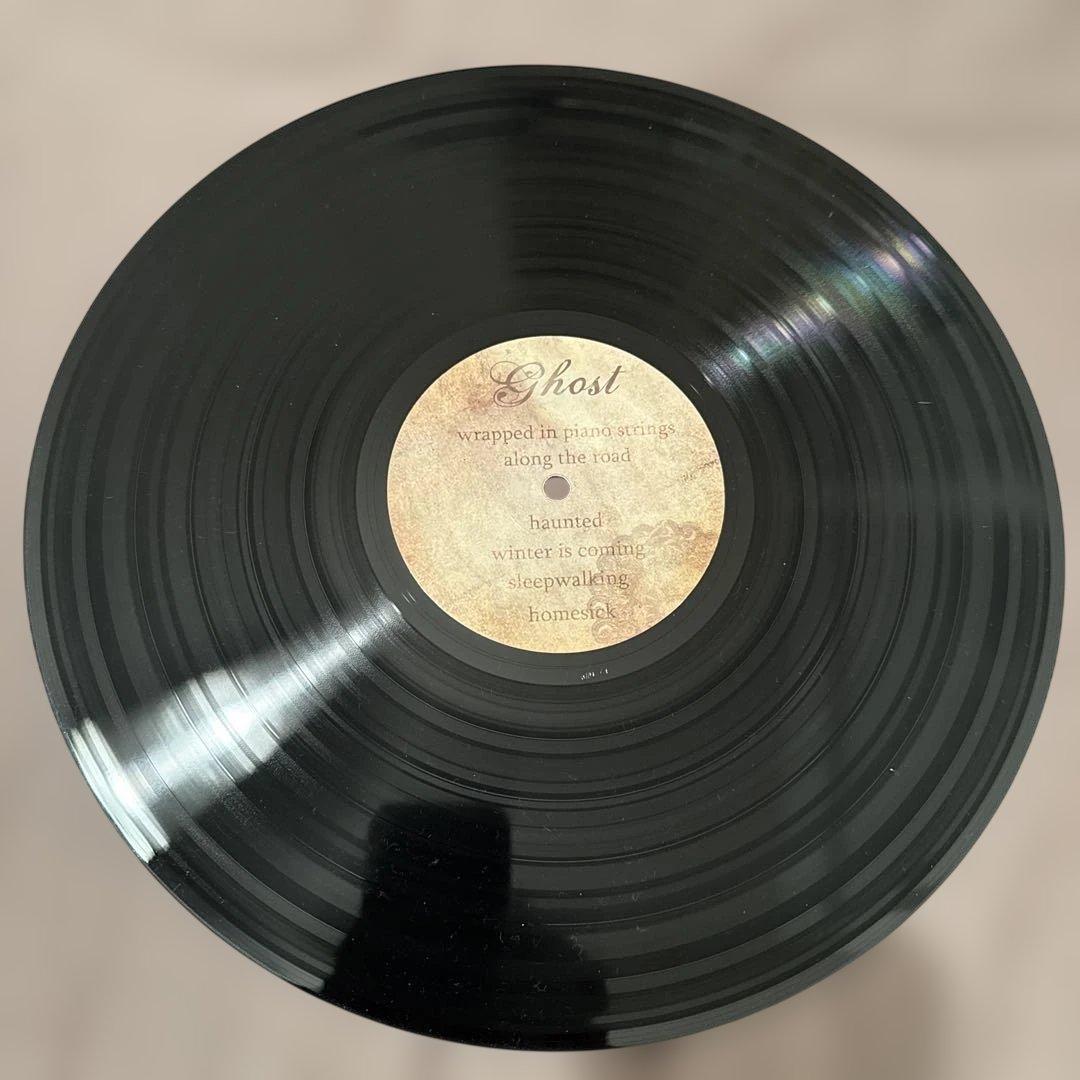 Radical Face Ghost アナログ盤