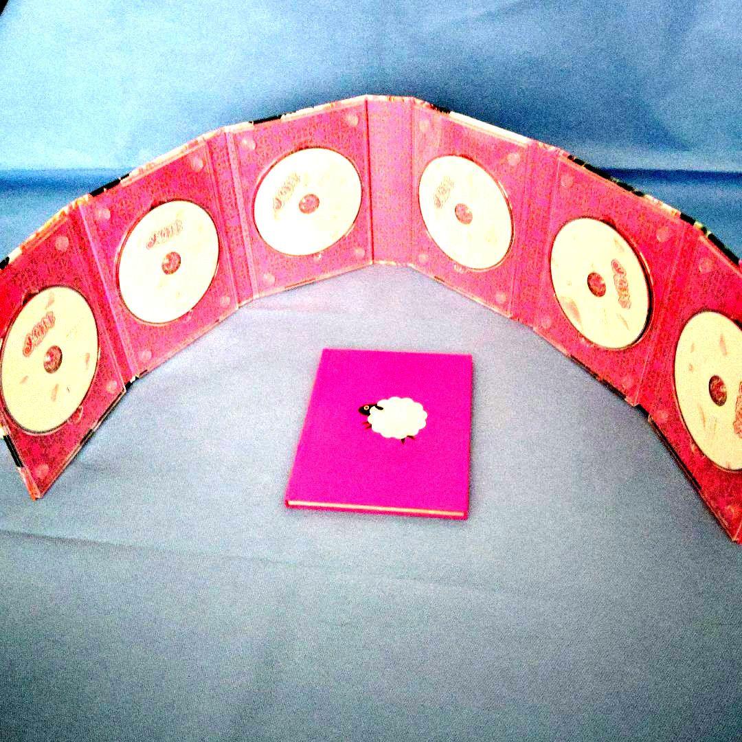 佐藤健「メイちゃんの執事」DVD-BOX (６枚組) 豪華ブックレット付き