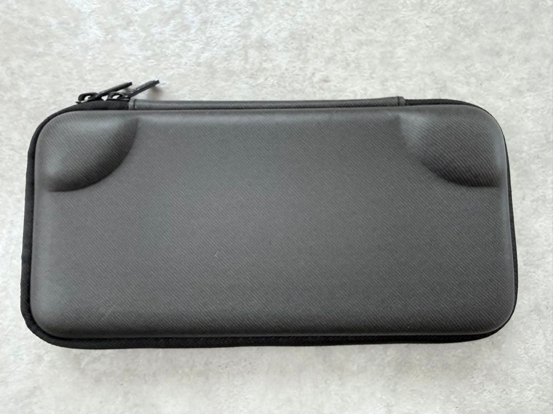 Nintendo Switch Lite グレー 本体　ケース・充電器付き