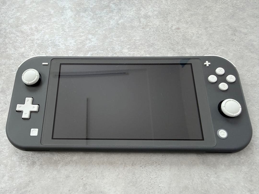 Nintendo Switch Lite グレー 本体　ケース・充電器付き
