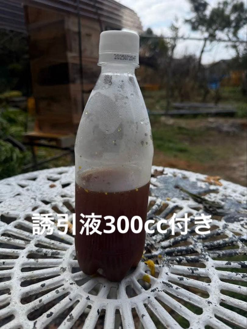 日本蜜蜂 重箱式巣箱４段　スライド底板 スノコ付き　説明書有　誘引液300cc付