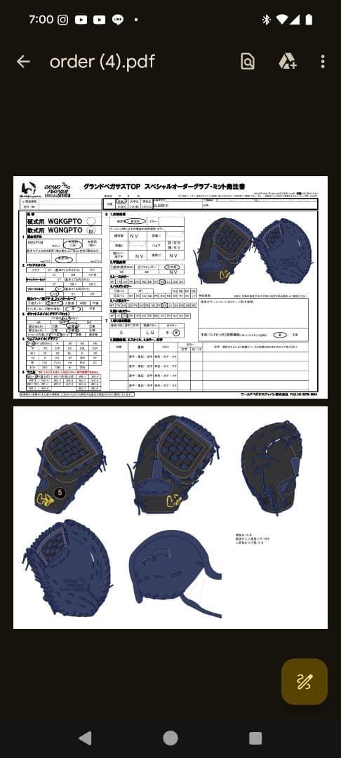 ワールドペガサス　バスケットウェブ　ファーストミット