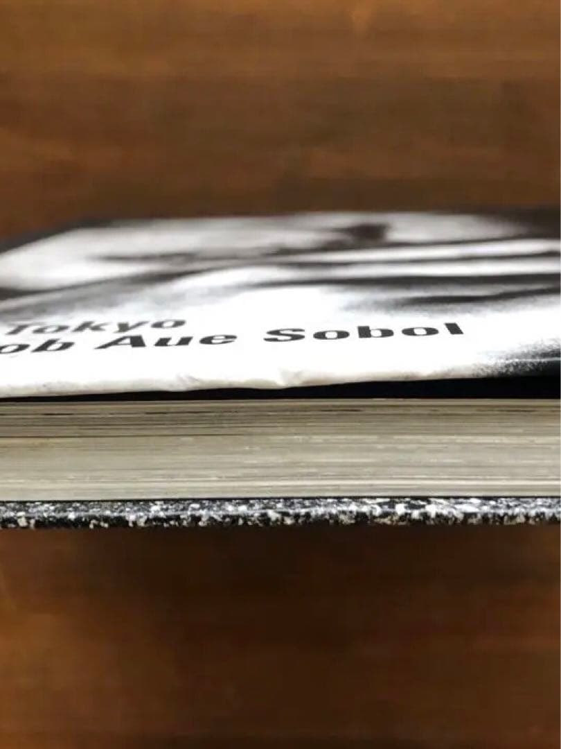 Jacob Aue Sobol Ik,Tokyo 森山大道 マグナム