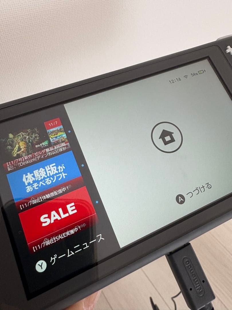 Nintendo Switch Lite グレー 本体 アダプタ 箱