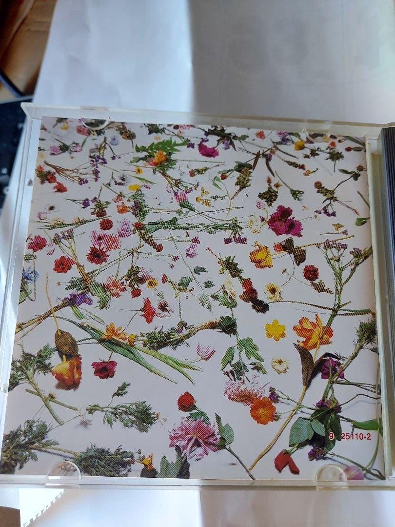 Purple Rain - CD旧規格金帯西ドイツ盤　超レア