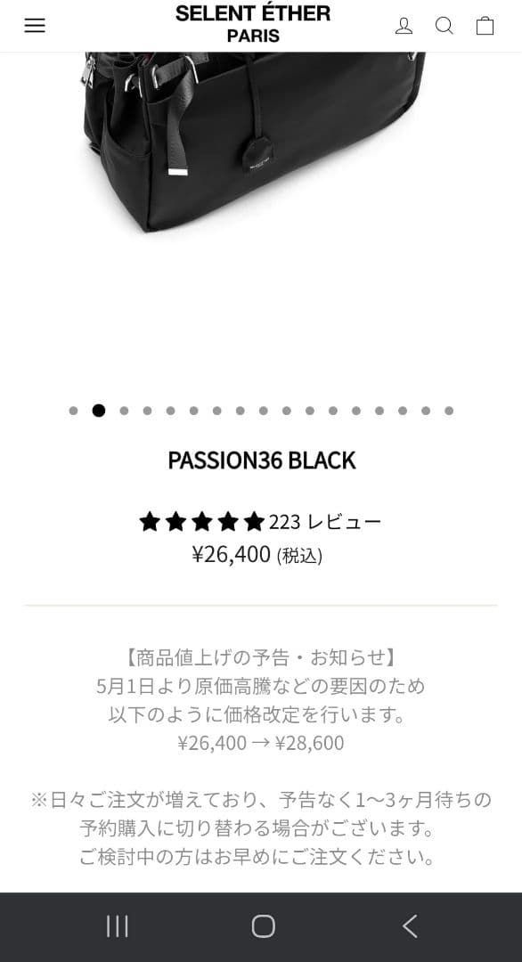 SELENT ÉTHER ブラック ビジネスバッグ