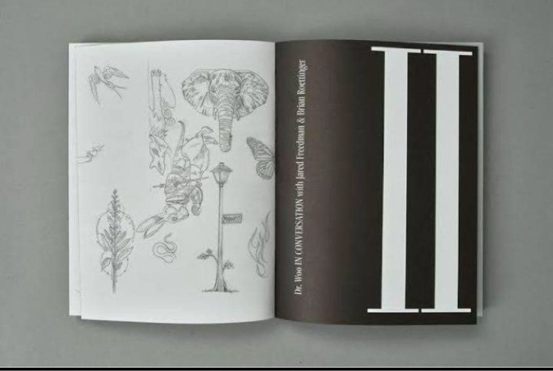 Dr.Woo Everything is Permanent 本