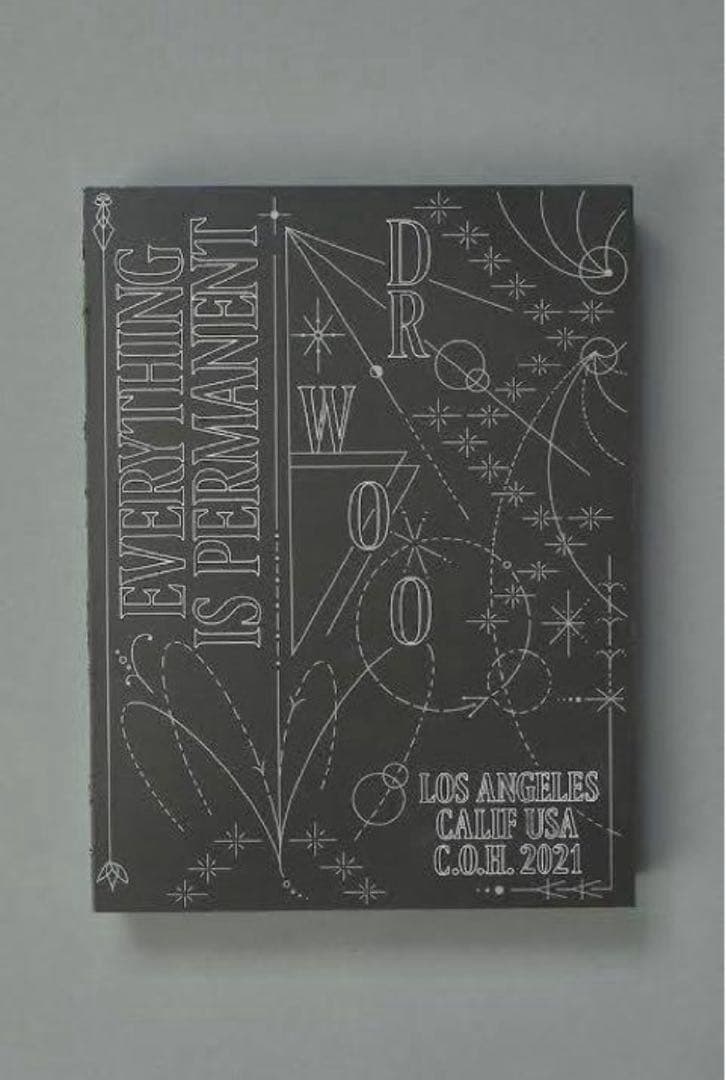 Dr.Woo Everything is Permanent 本