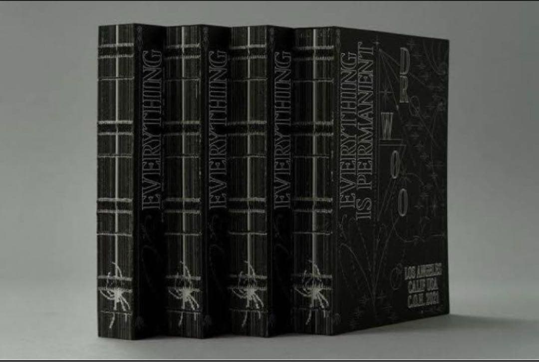 Dr.Woo Everything is Permanent 本