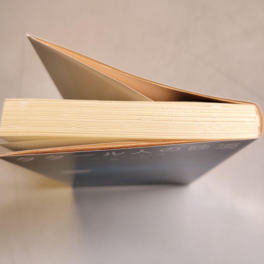 タタール人の砂漠 岩波文庫