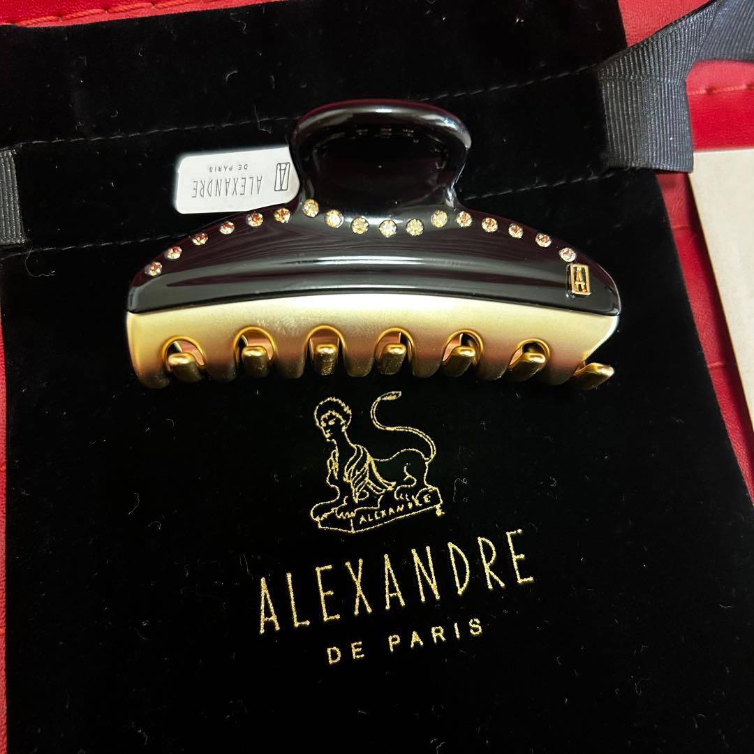 【ALEXANDRE DE PARIS】VENDOME CLIP M 【美品】