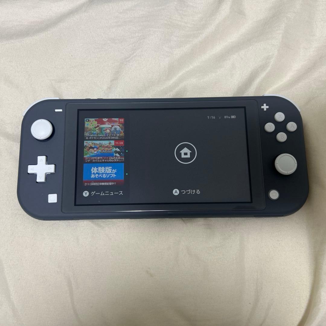 Nintendo Switch Lite グレー 本体 充電器、箱付き