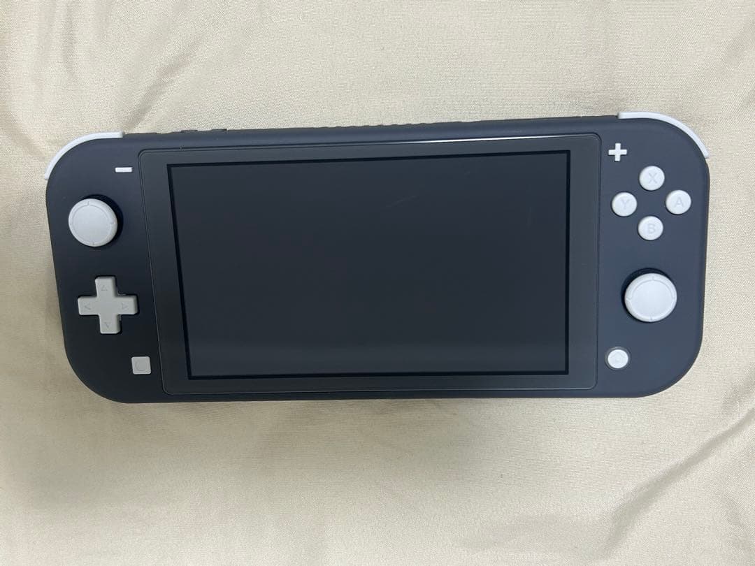 Nintendo Switch Lite グレー 本体 充電器、箱付き