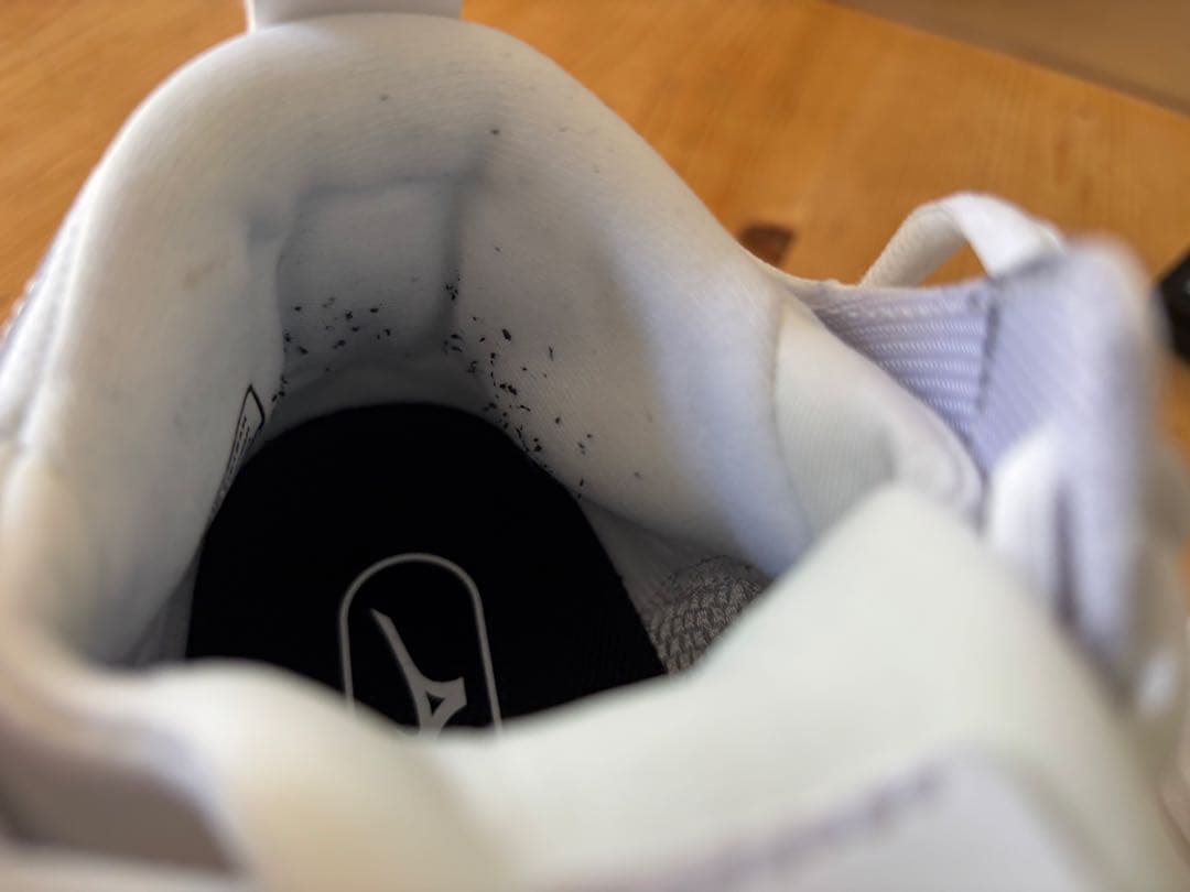 1回のみ◾️WAVE MOMENTUM 3 MID 25.0cm バレーボール