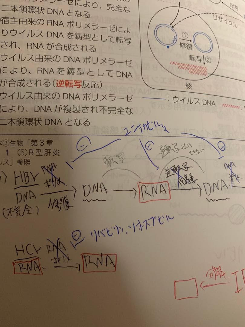第110回　薬剤師国家試験対策参考書 青本・青問　全巻セット