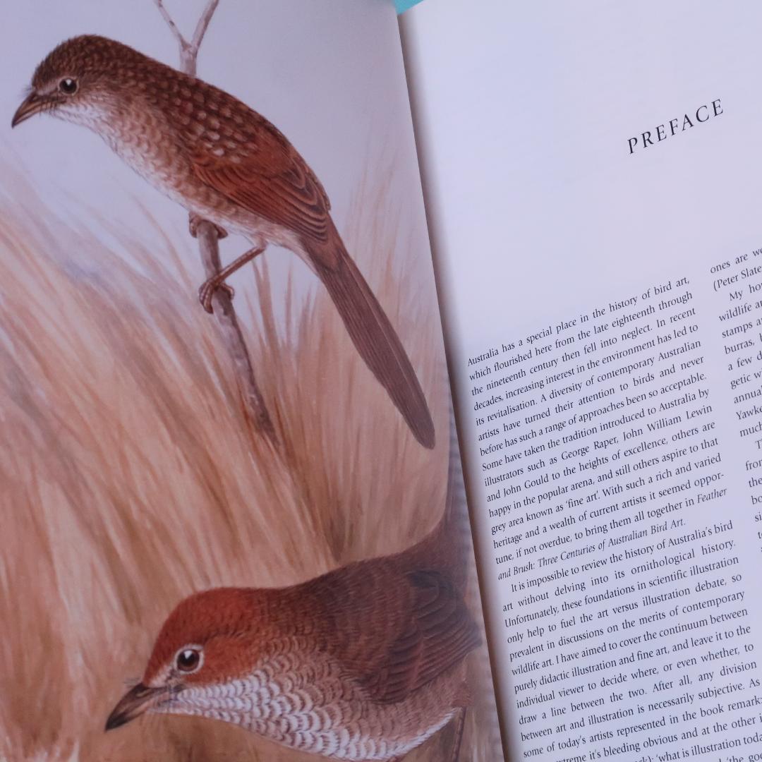 特別価格！ Feather and Brush：オーストラリア鳥類芸術300年