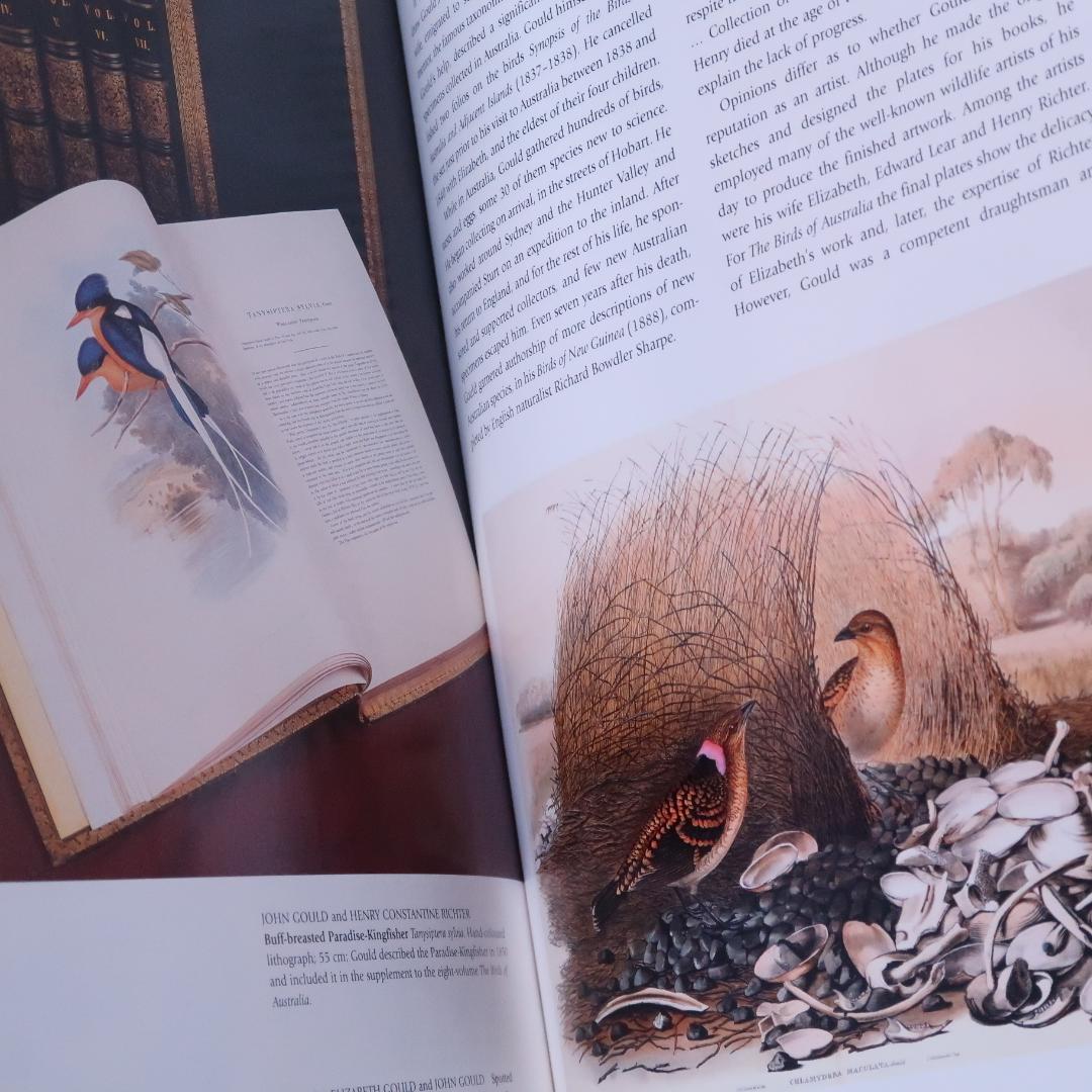 特別価格！ Feather and Brush：オーストラリア鳥類芸術300年