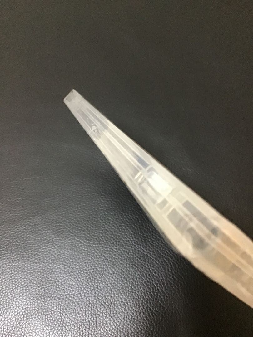 新品、未開封 ポケットモンスター バイオレット＋ゼロの秘宝