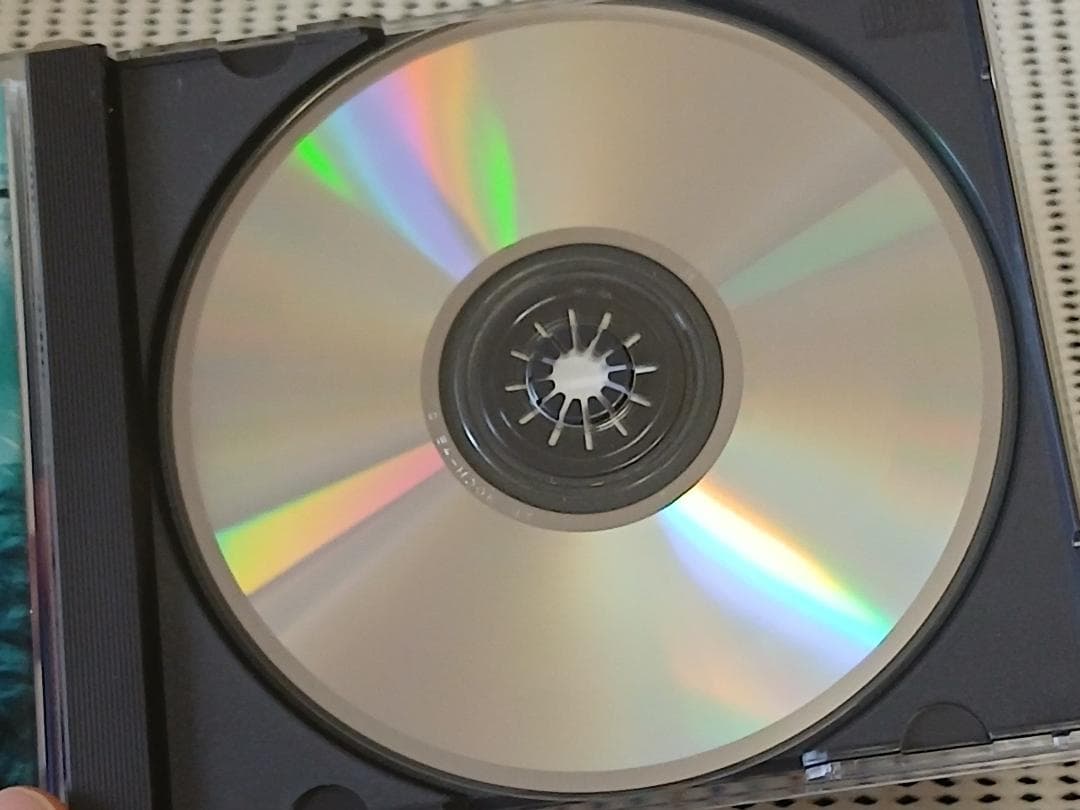 山根麻衣 / ウィル　WILL