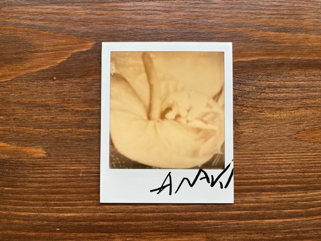 荒木経惟のポラロイド作品 1点。サイン入り、額装付き。