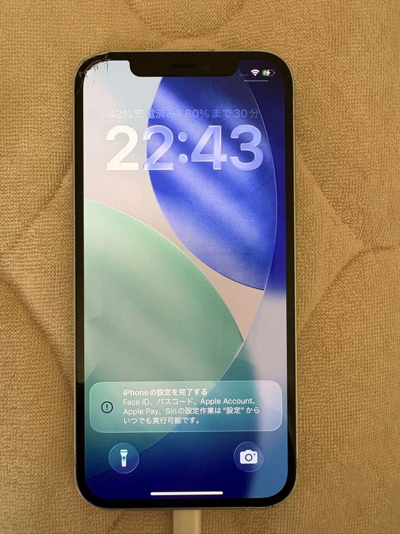 猫*様 Apple iPhone 12 Green 64GB 本体と充電器