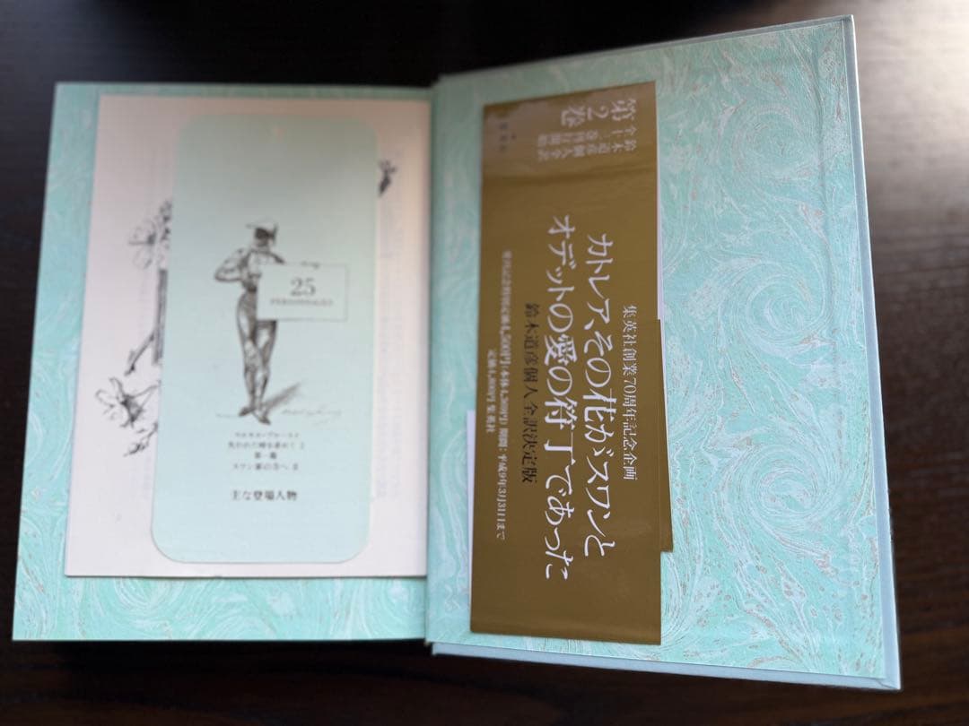 マルセル・プルースト 失われた時を求めて 全13巻セット 鈴木道彦訳