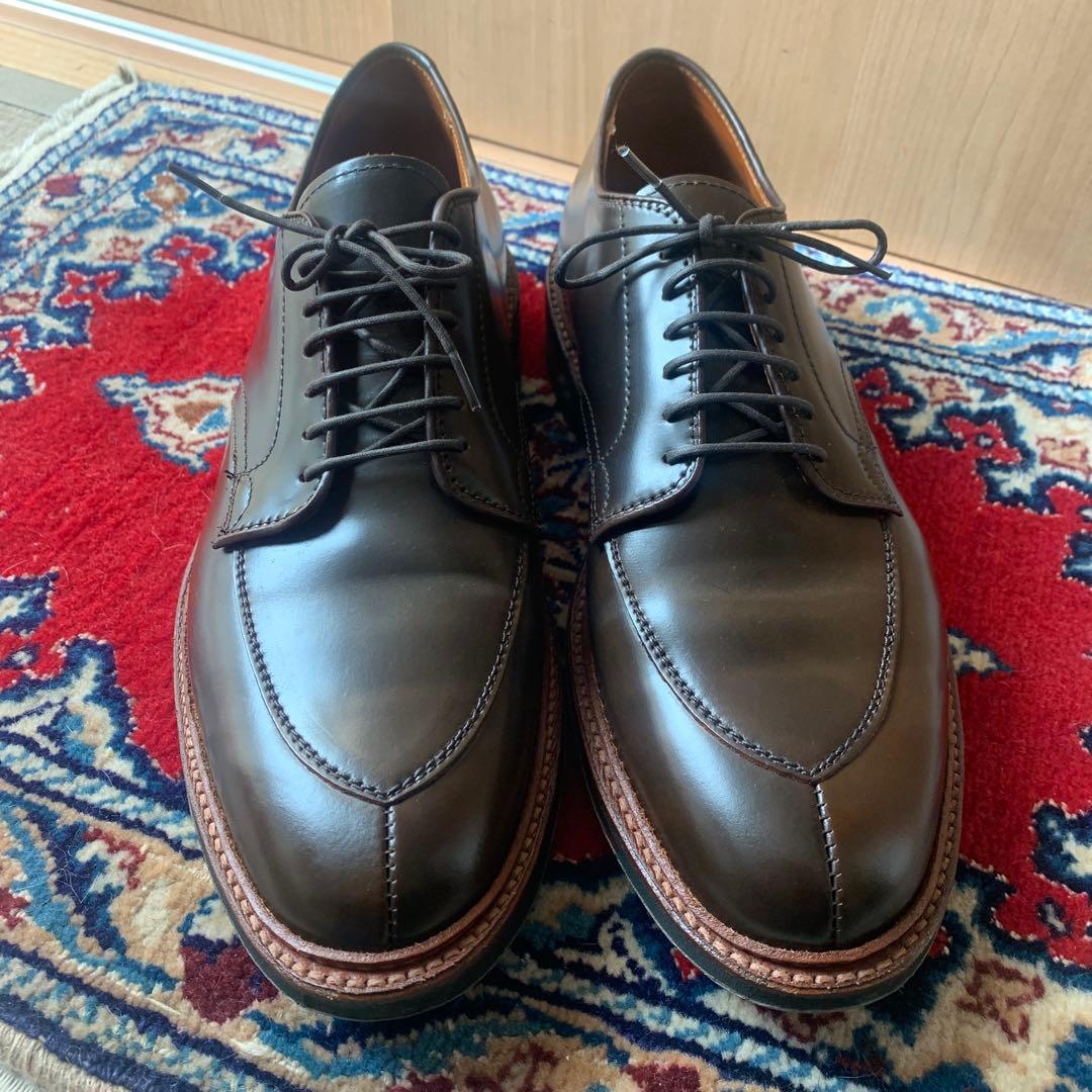 Dblueオールデン　Aledn シガー　コードバン9.5D D1660C